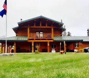 Alaska Eagle Nest 