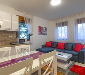 Apartman Gavrilov 