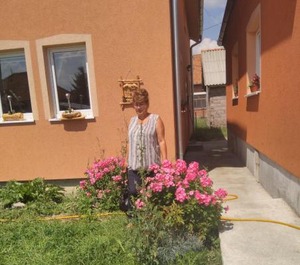 Apartmani 