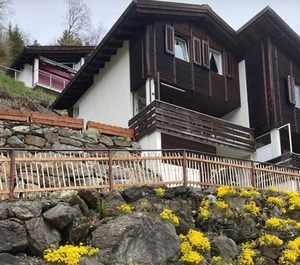 Cosy Chalet 