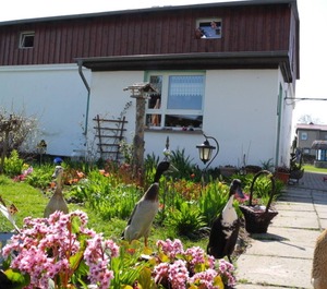 Boddenblick 