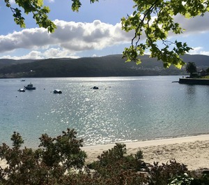 Sea 