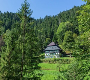 Neukirch Terrace 