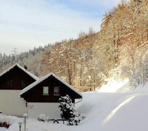 Thuringia Forest 