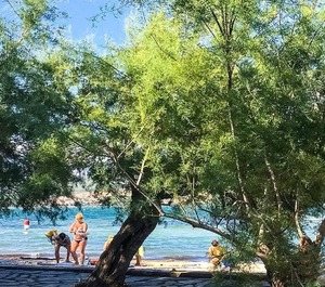 Robi Meters The Beach Karin Zadar Riviera Croatia 