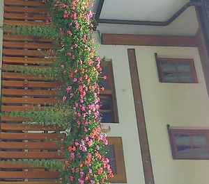 Haus Rosenhof 