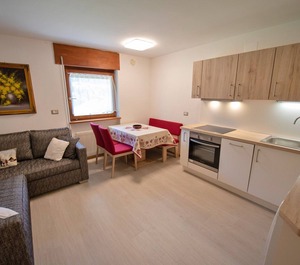 Apartments Cesa Bruma Ortisei 