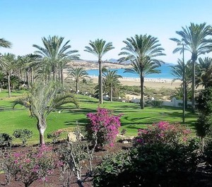 The Beach Terrace 