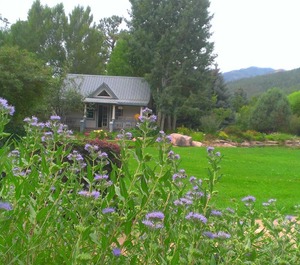 Apple Orchard Inn 