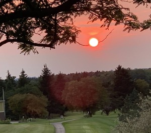 Golf Course 