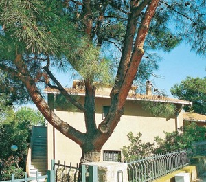 Azzurro 