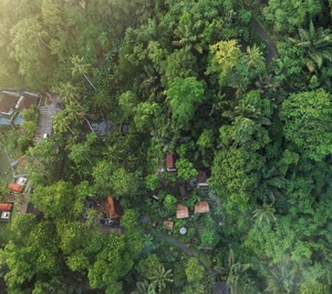 Bali Jungle Huts 