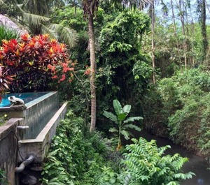 Style Sukawati Gianyar Garden The Property 