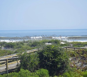 Barefoot Trace 