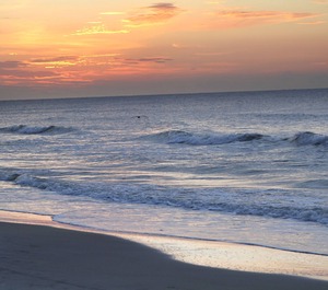 Beach Villas 