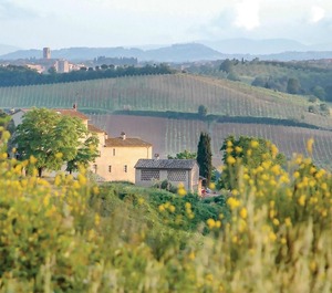 Sanlucchese Poggibonsi Si 