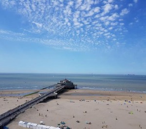 Seaview 