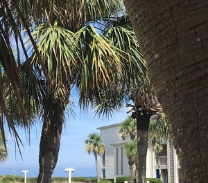 Tradewinds 