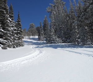 Powder Mountain Slopeside Accommodation 