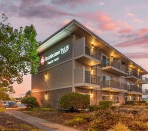 Bayside Hotel 