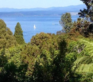 Lakeviews 