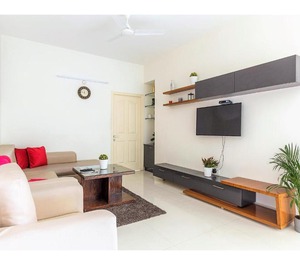 Bluo Hitech City Tt Terrace Garden Lift 