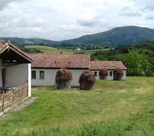 Bordak 