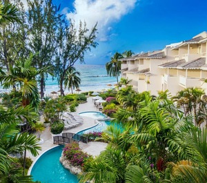 Bougainvillea Barbados 
