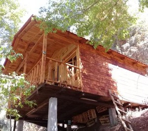 Cabaña En El Bosque De San José Del Pacífico 