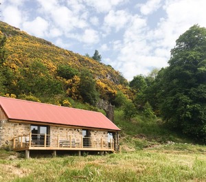 East Craigdhu Cow 