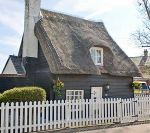 Thatch 