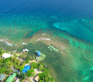 Calabash Bight Breakfast Beach Kayaks 