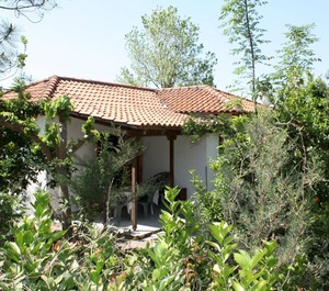 Calm Located Olive Grove The Beach Holiday 
