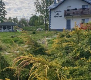 Casuta Din Gradina 