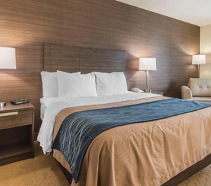Comfort Inn Levis 