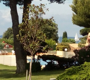 Le Pradet 