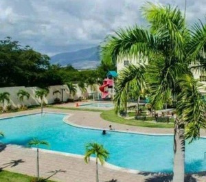 Paradise 
