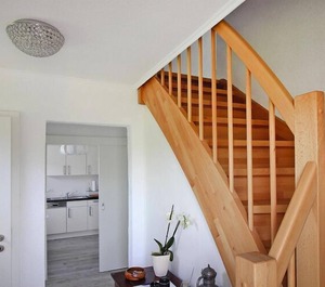 Cottage Oldenswort 