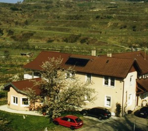 Winery Baumer 