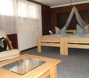 Hotel Finkenberg 