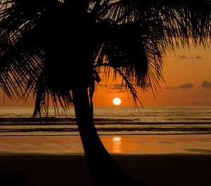 Ocean Island Beach 