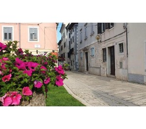 Eufrasiano 