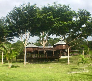 Treehouse The Mopan River 