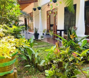 Fairview Dill Homestay 