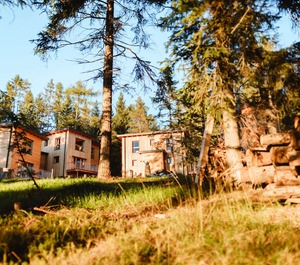 Felizitas Forest Chalet 