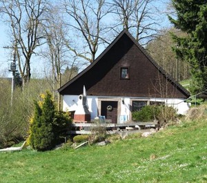 Detached Cozy Holiday Terrace The Forest 