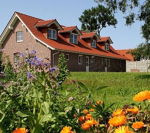 Ferienhaus Lobbe Apt 