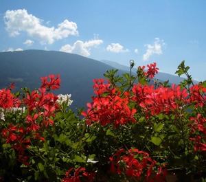 Tauberhof 