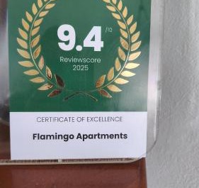 Flamingo 