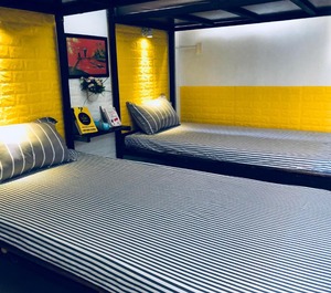Dmz Hostel 